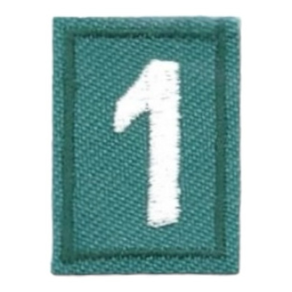Girl Scouts Troop Number - 1